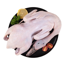 Shelduck native duck fresh frozen whole fresh duck teal duck meat duck goods SF Express