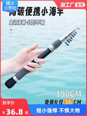 удочка 小海竿套装钓鱼竿甩竿抛竿远投竿海杆鱼竿全套海钓竿溪流轻量便携
