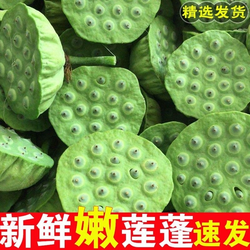 Хунань Сянгтан Fresh Lotus Film выбирает и ест сладкие и нежные семена лотоса натуральные фрукты.