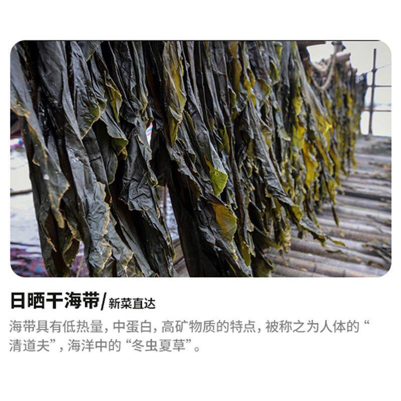 25年最新海带品牌推荐|这3个国货黑马必买!避坑指南+真实测评-品牌推荐-淘宝百科网