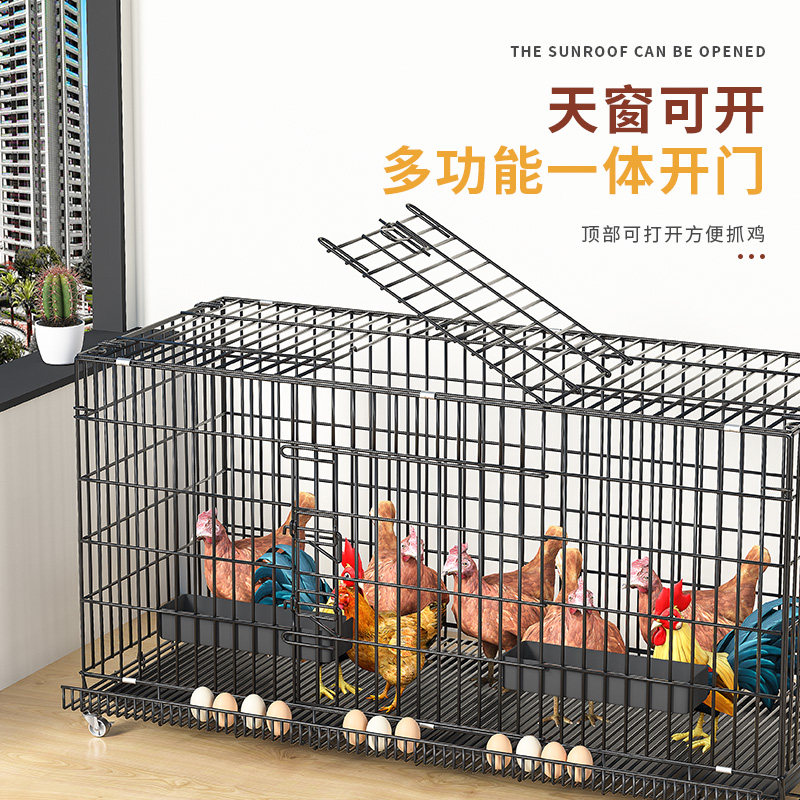 大号家用鸡笼子：自动滚蛋鸡笼子，轻松养鸡新体验！🎉-宠物鸡-淘宝百科网