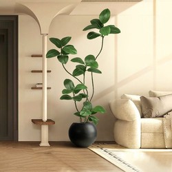 Large Living Room Floor Ornaments Indoor Sofa TV Cabinet Next to Fake Plants Black King Kong Rubber Tree Artificial Green Planting