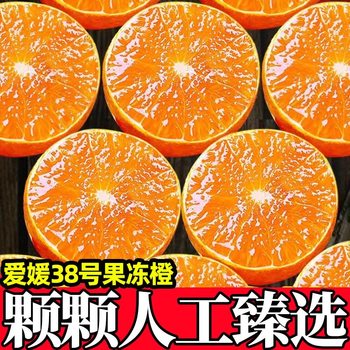 Authentic sichuan meishan ehime jelly orange fresh fruit seasonal fruit orange wholesale price