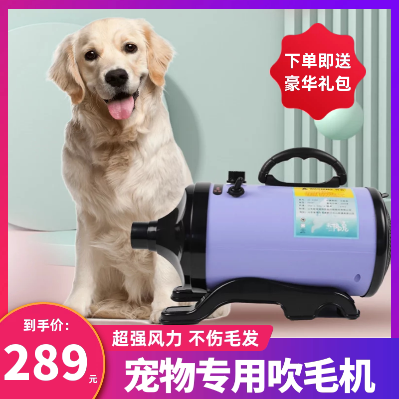 Pet Exclusive Blow Water Machine Pooch Bath Hair Dryer Large dog High power kitty drying blown hair theorizer speed dry