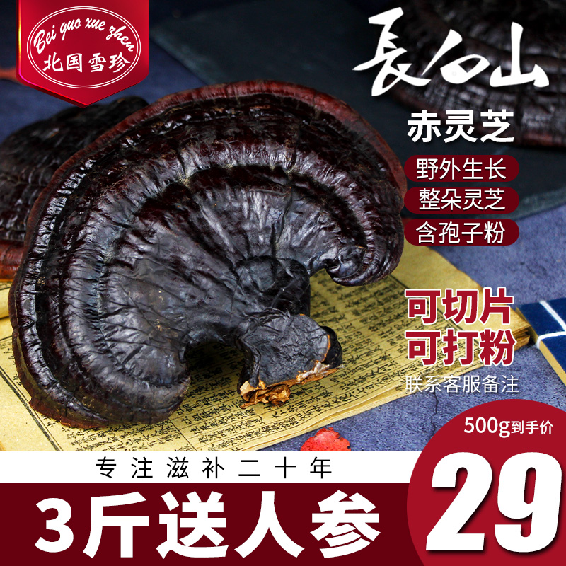 Northern Snow Zhen Changbai Mountain Ganoderma lucidum 500 grams purple Ganoderma lucidum Linzhi whole branch wild Ganoderma lucidum slice semi-wild powder