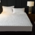 Mùa thu và mùa đông ấm giường pha lê nhung bông giường bông cộng với gối nhung pha lê nhung giường đệm flannel nệm 1.8 - Nệm