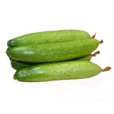 Семена голландского мини -огурца с высоким уровнем устойчивости к болезням фестиваля.