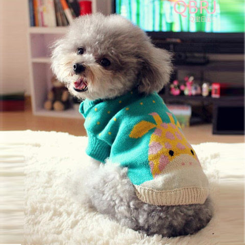 Pet clothes dog sweater autumn and winter small feet warm small sweater cat Teddy clothes autumn and winter supplies