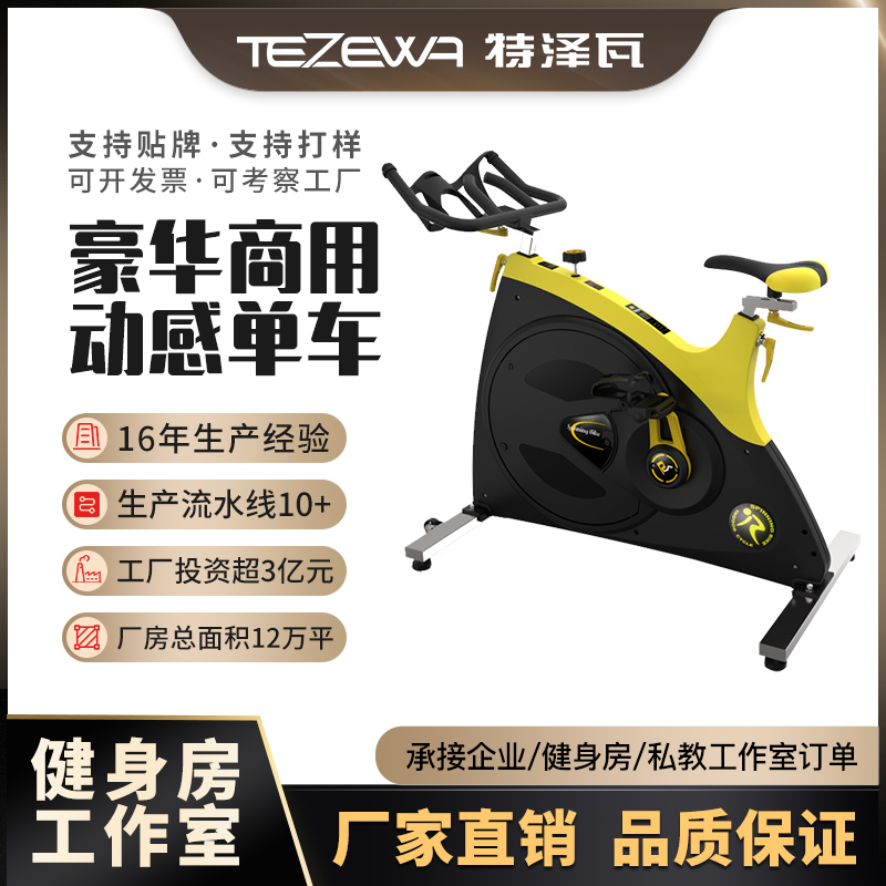 Commercial Fitness Car Fitness Room Special Indoor Fitness Bike Professional Indoor Exercise Bike Weight-loss Instrumental