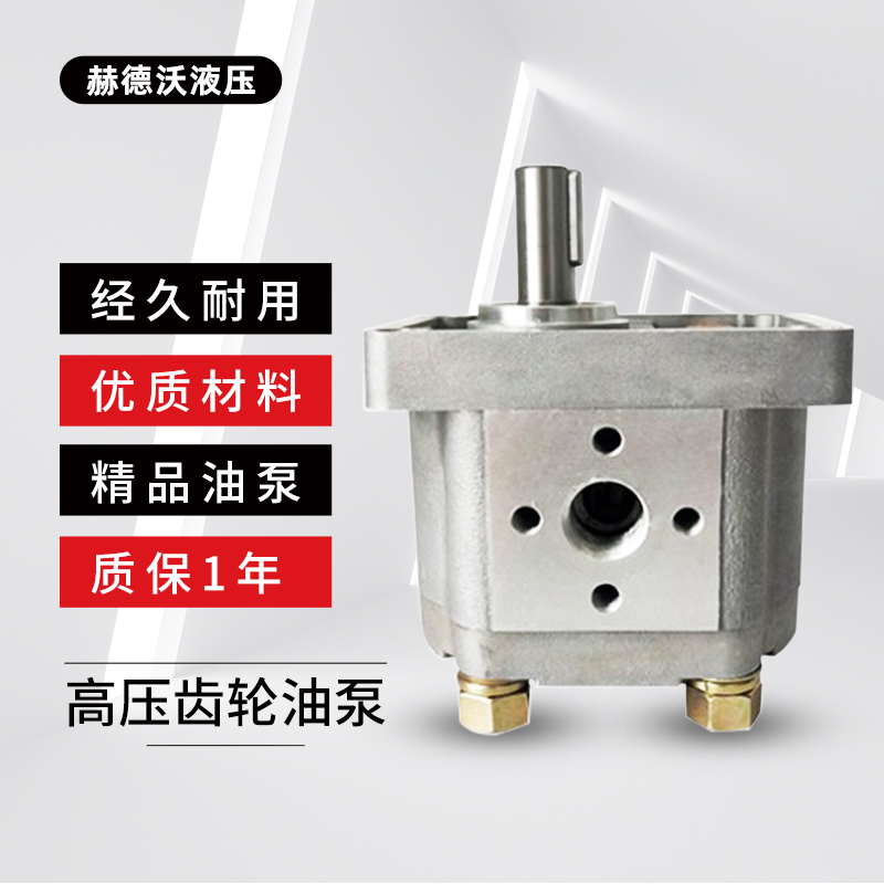 Gear pump CBN-FCBN-G304 306310316320325 flat construction splined flat construction hydraulic oil pump