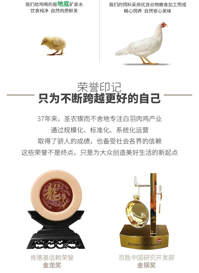 肯德基供应商 圣农 香煎大鸡排135g*10片 图15