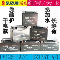 Suitable for Suzuki Hongbao UM125T-A C battery motorcycle Tianyu UZ125T-A C dry battery free of Vihao