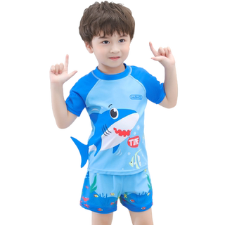 儿童泳衣男童泳裤中大童夏季分体游泳衣小宝宝速干温泉游泳套装备