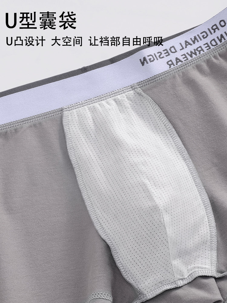 Pure Cotton Underwear for Men, Antibacterial, Seamless, Boys' Boxer Shorts, Loose-Fitting Underpants, Youth 2026 New Winter Style