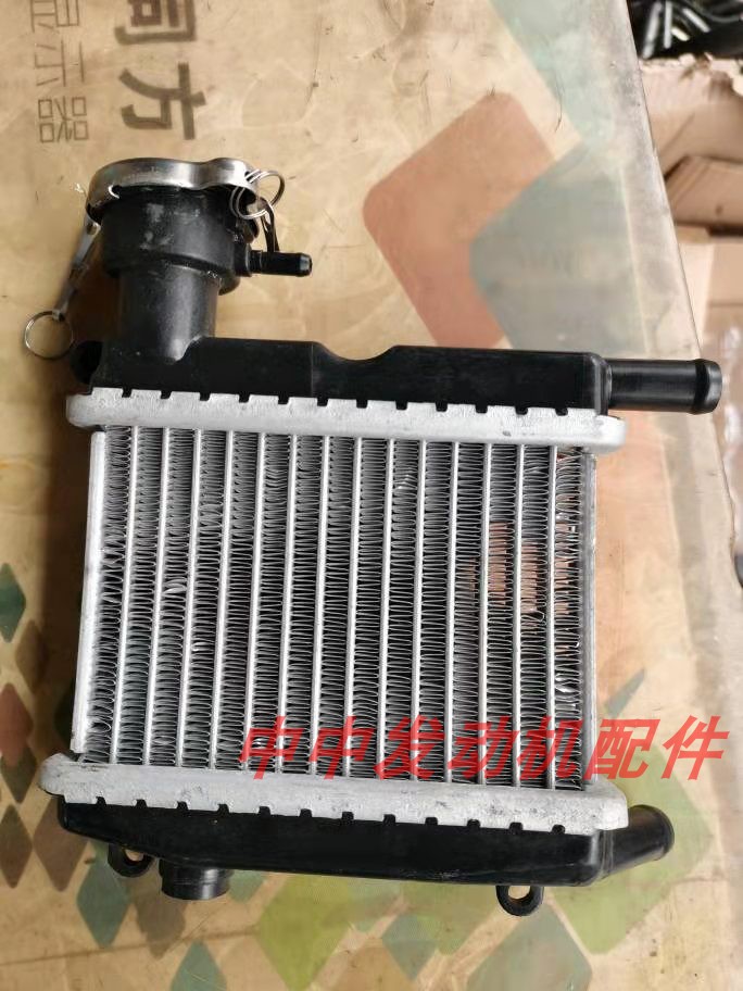 Scooter Skillet Cool Chic Retrofit Water Cooled Special Small Water Tank Aluminum Alloy Water Radiator Mountain Leaf ZR Water Tank
