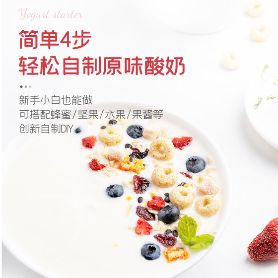 Angel Hundred Diamond Yogurt Fermentation Agent 12 bacteria home lactic acid probiotic powder fermentation bacteria 30 packets for making yogurt