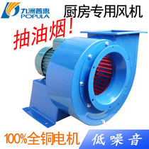 Jiuzhou Puhui Hotel Kitchen Exhaust Centrifugal Fan 220V380V Pipe Exhaust Fan Strong