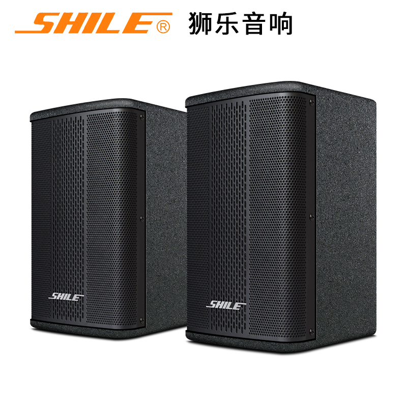 Lion Music BX-501 Professional Conference Room Wall-mounted Sound Family Background Music Karaoke Sound Box