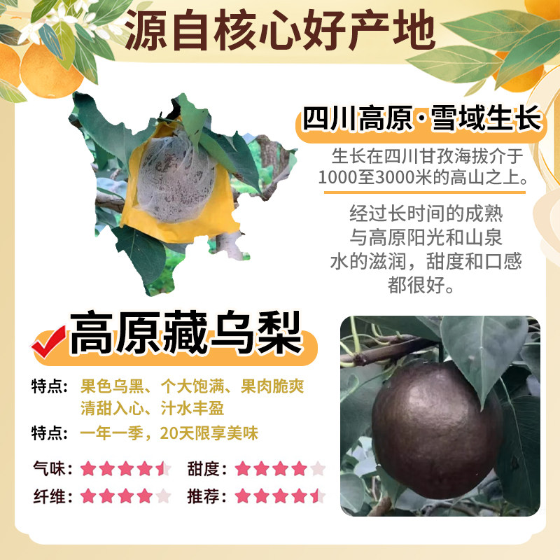 顺丰礼盒高原大黑梨,藏乌梨的独特魅力你get到了吗?🍇-梨-淘宝好物网