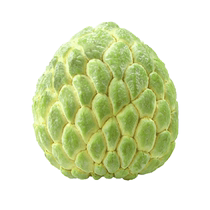 SF Express 5 catties gift box milk big-eye custard apple fresh fruit seasonal pineapple custard apple Ringo Buddha head large fruit