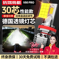 V80 Pro [Performance Monster Edition]