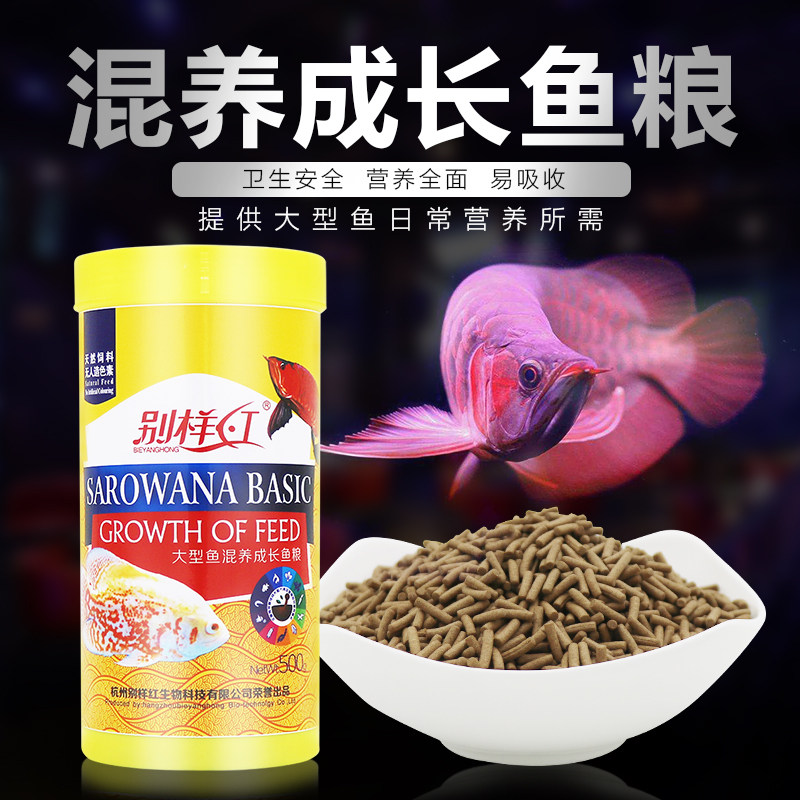 Map fish Arhat fish Eat silver arowana Feed Large fish Mixed blood parrot fish Fortune fish Ingot fish Lucky fish