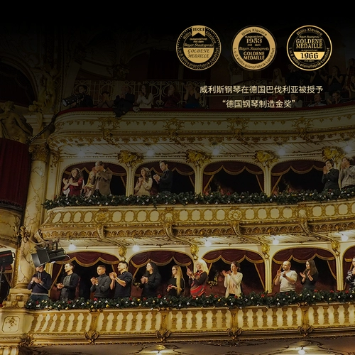 威利斯 /Willis Concert Series W-208 German Original Imported Professional Triangle Piano Piano