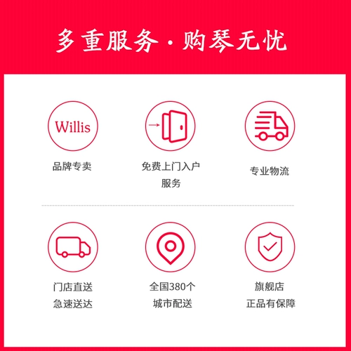 威利斯 /Willis Concert Series W-208 German Original Imported Professional Triangle Piano Piano