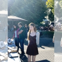 Жилетное место лось коричневого цвета