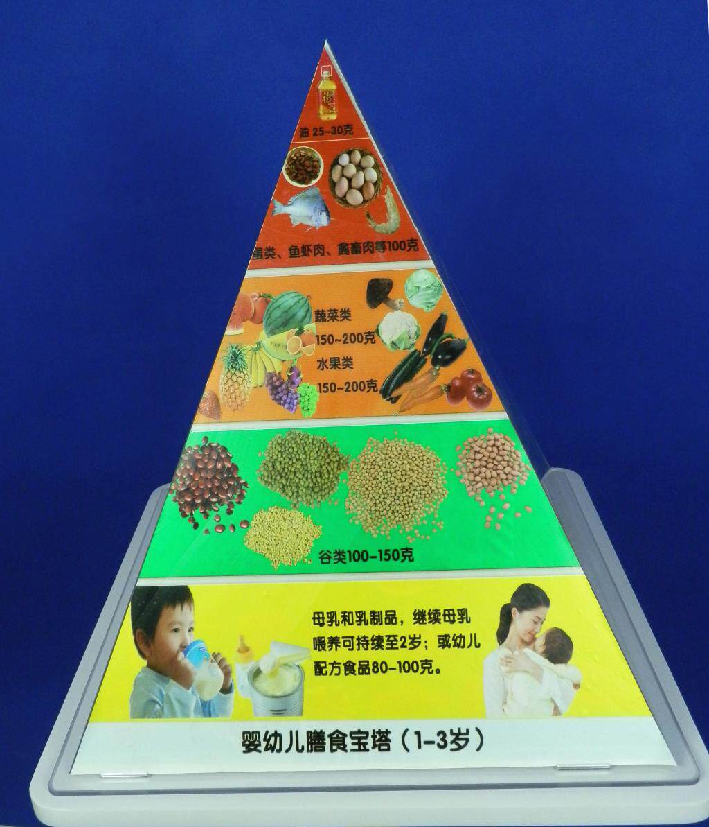 婴幼儿膳食1-3岁儿童孕妇老年人糖尿病膳食宝塔中国居民膳食平衡