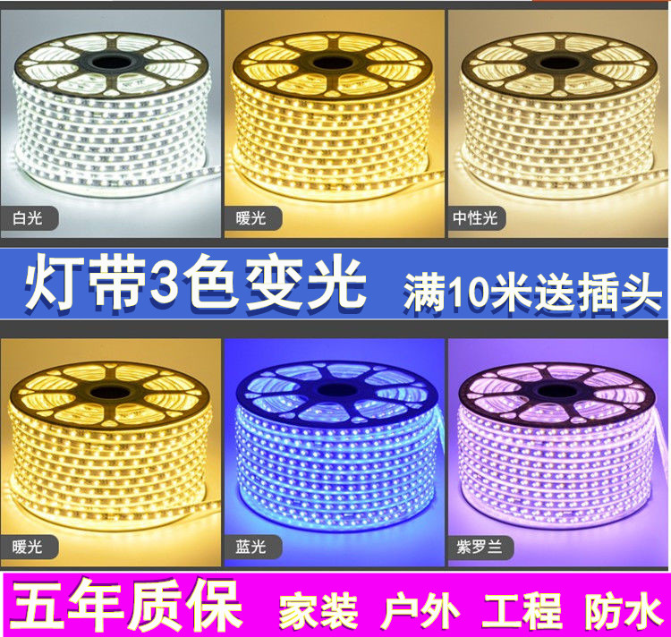 LED light strip Living room ceiling three-color dimming neon soft light strip 220V double row RGB colorful waterproof household light strip