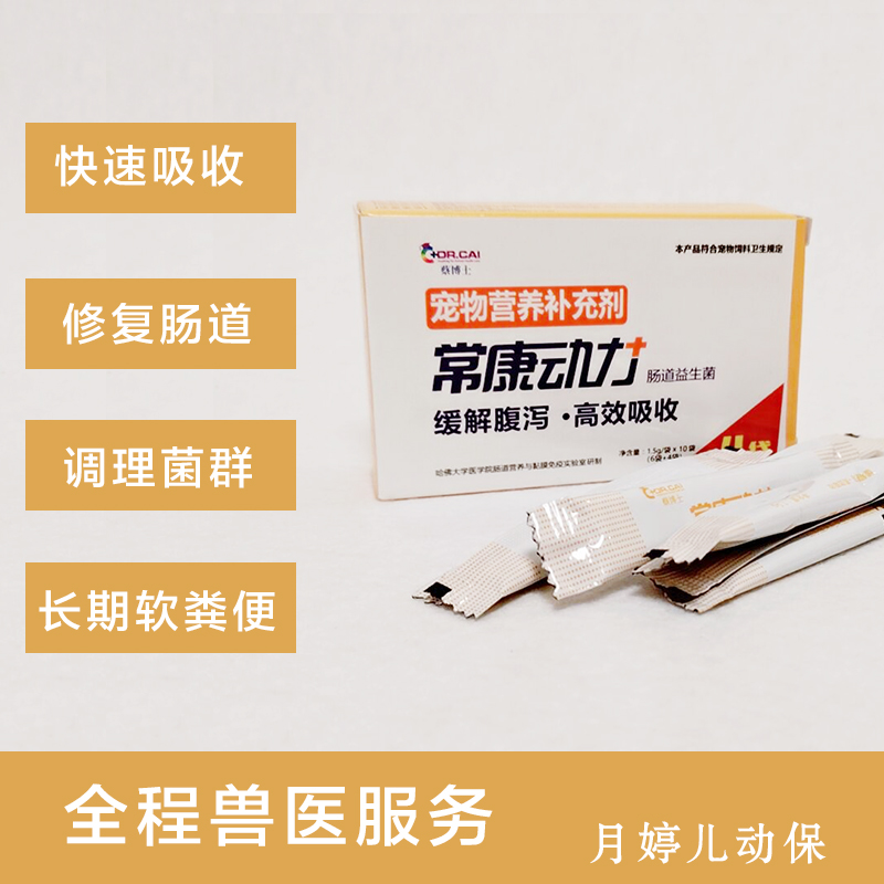 Kang Dong intestinal bacteria rabbit dog cat guinea pig totoro cat with hamster conditioning gastrointestinal diarrhea dog with D44