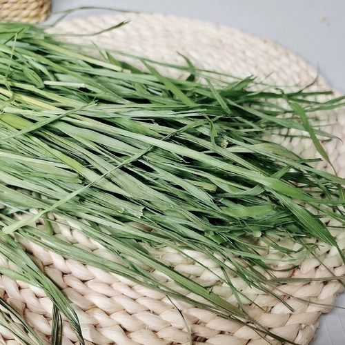 Виколорная трава и трава 500 г кролика Тоторо, морская свинка, голландская свиная земля -мышь черный хвост