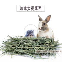 Canadas Timoxigarty hay with a two-fold pressure two-pressure pasta rabbit dragon cat guinea pig and a little spooky.