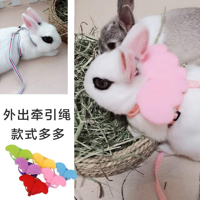 Rabbit Chinchilla Guinea Pig Rope Traction Rope Rabbit Rope Tie Rabbit Rope Strap Walking Rabbit Rope into Rabbit Rope Leading Rabbit Rope