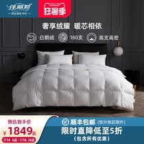 Jialis duvet 95%white goose down Anti-running velvet thickened warm winter quilt core double quilt four seasons quilt
