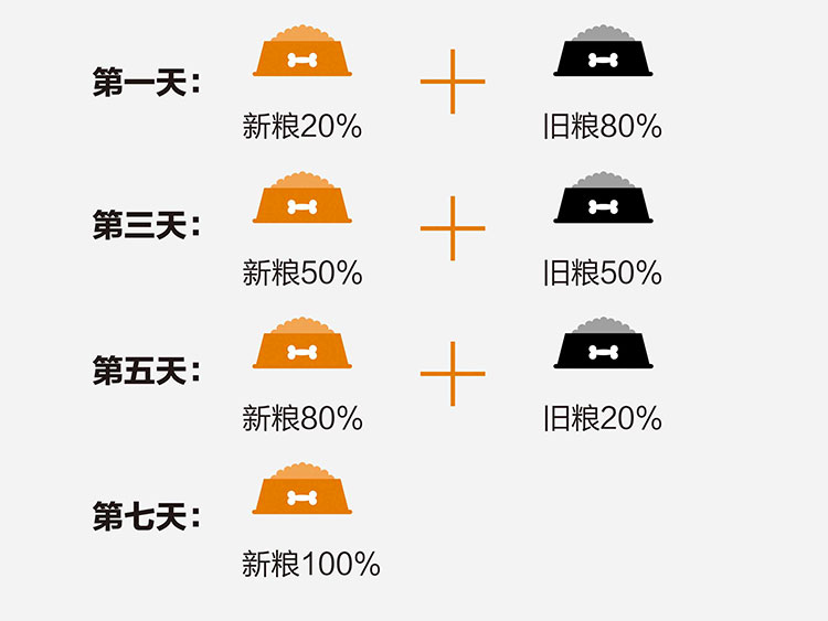 广州哪里有卖纯种椒盐色超小体雪纳瑞幼犬 找新家