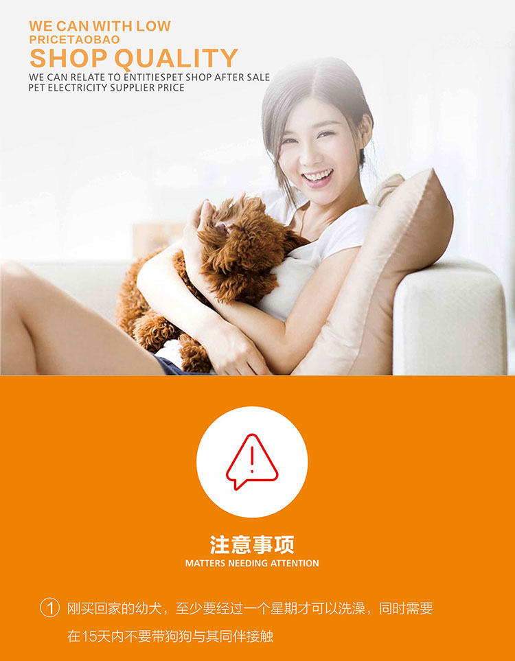 广州哪里有卖纯种椒盐色超小体雪纳瑞幼犬 找新家