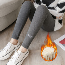 Autumn winter pure cotton beating underpants female outside wearing gush thickening integrated large code lamb suede threaded upright streaks warm cotton pants
