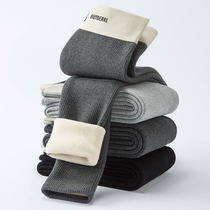 Tthicker Northeastern lamb suede pure cotton grey thread underpants female winter thickened suede high waist external wearing warm cotton pants