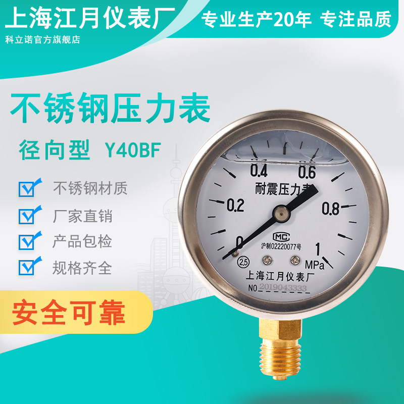 Shock-proof pressure meter YN600-1 6MPA oil pressure water pressure gauge radial carbon dioxide gas meter oxygen argon