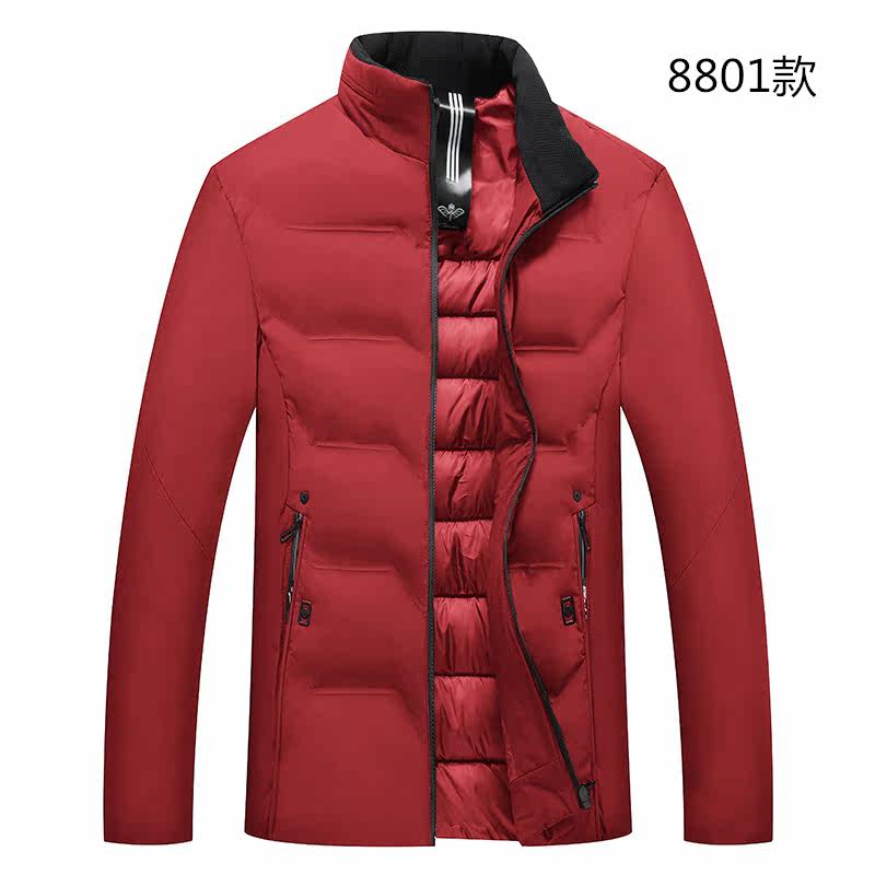 Blouson chaud pour homme   OTHER - Ref 3113477 Image 5