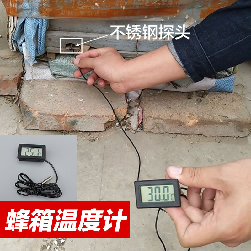 Beehive Thermometer Beekeeping Tool Bee Box Measuring Temperature Special Portable Temperature Instrument 2019 New Bee Furniture