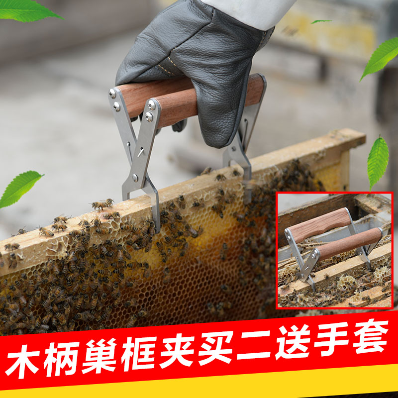 Stainless steel nest frame spleen clip Lift spleen clip Lift bee bee spleen nest frame spleen clip Take honey bee tool Take nest frame clip
