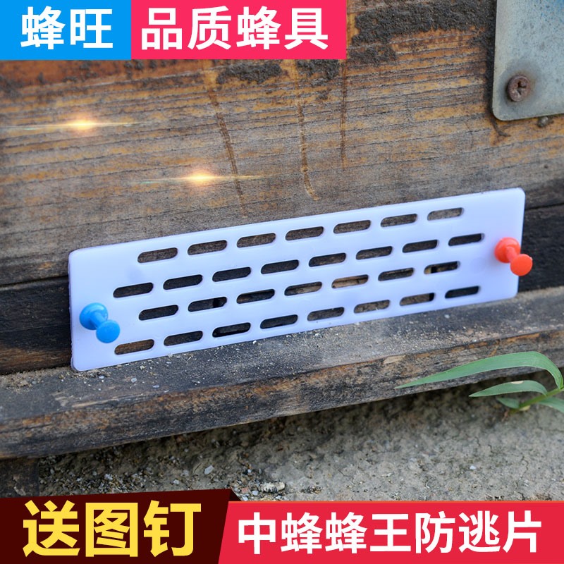 Middle bee anti-running piece queen bee anti-escape king piece plastic separated king nest door bee separated king special anti-escape device beekeeping tool