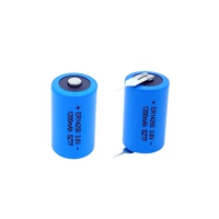 Литиевые батарейки с зарядкой, 6v, 1200mah, масштаб 1:2