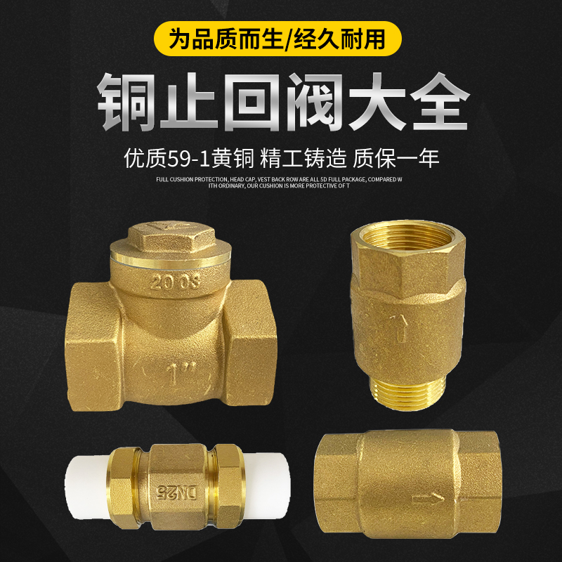 Factory direct supply all copper thickened inner and outer wire water tank water pipe water pump 4 minutes 6 minutes horizontal check valve vertical