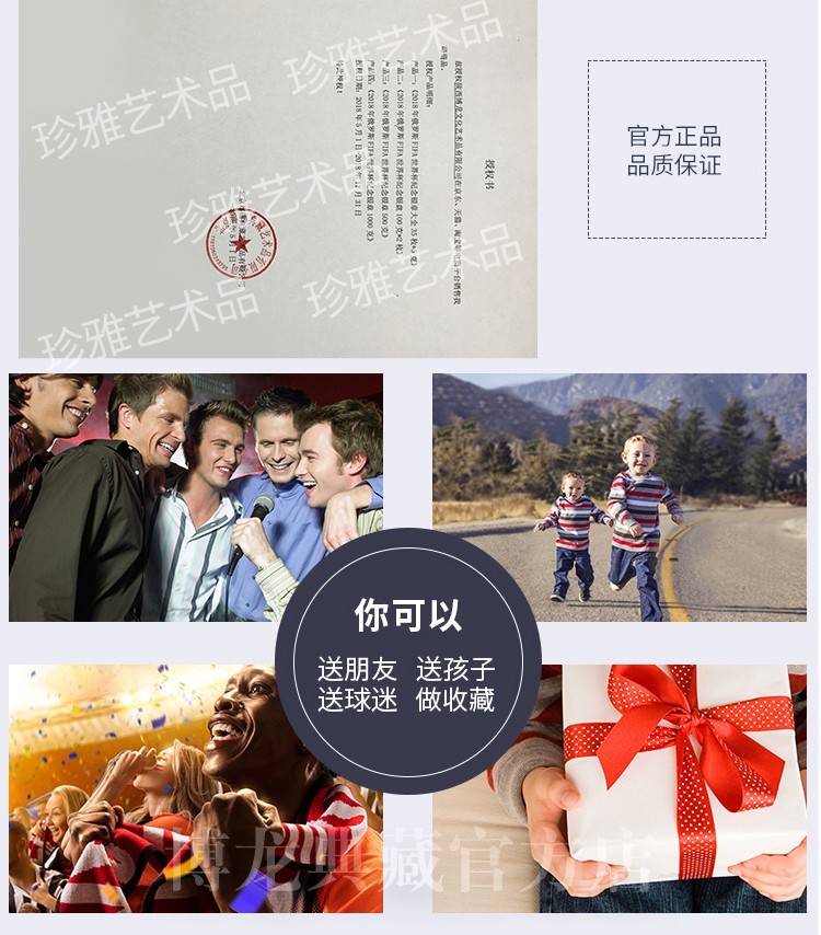 世界杯元素45枚银章大全FIFA官方正品2018俄