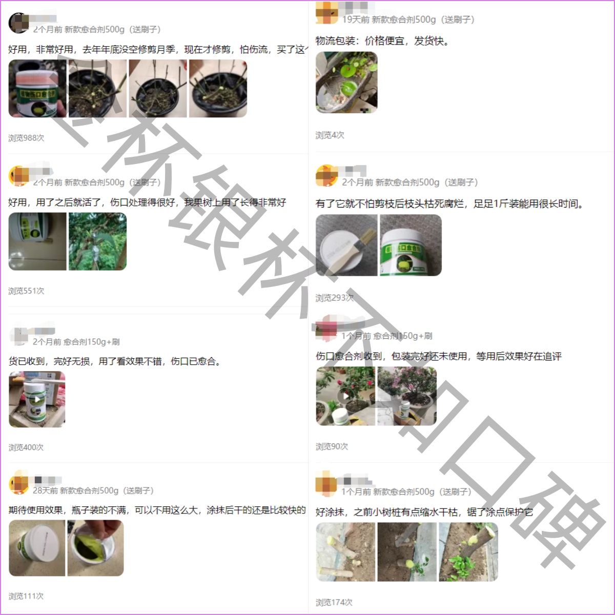 果树输液管：为大树注入生机的新型灌溉方案