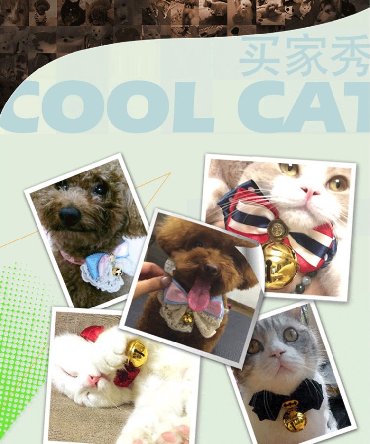 Chuông mới, Mèo, Chó, Thú cưng, Vòng cổ lớn, Thú cưng, Mèo, Mèo, Chuông Teddy lớn, Hàng hóa gấp - Cat / Dog hàng ngày Neccessities bình uống nước cho mèo